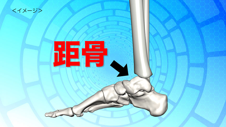 �T���v���摜